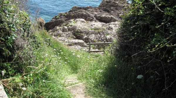 Worswell Barton B&B walking down to warren beach.jpg